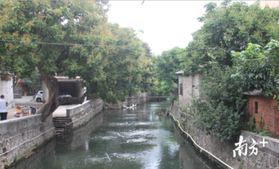 水氣環(huán)境持續(xù)向好 順德全面推進(jìn)'區(qū)域環(huán)評(píng)+環(huán)境標(biāo)準(zhǔn)'改革與技術(shù)服務(wù)創(chuàng)新